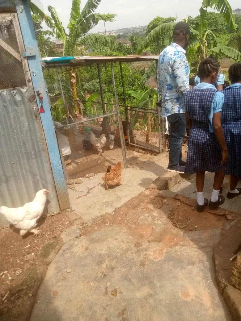 School trip to Plantain Plantation — image 2