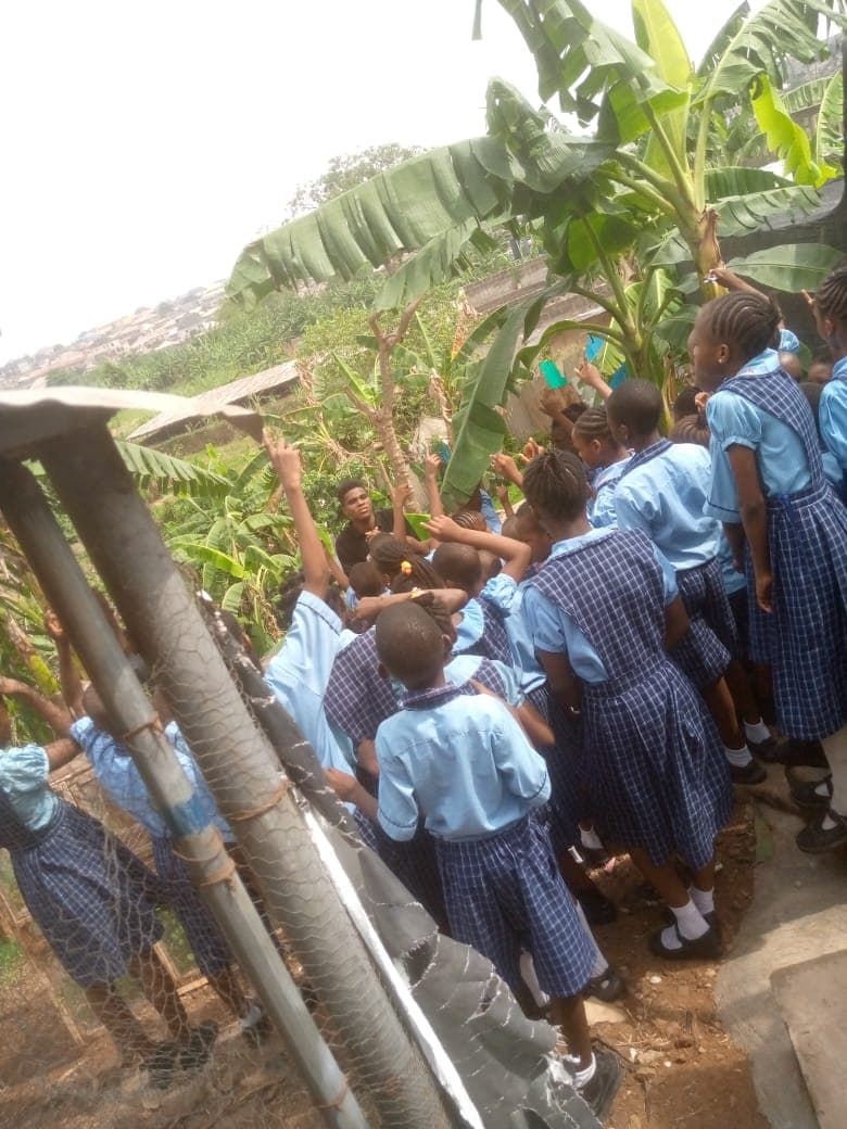 School trip to Plantain Plantation — image 1
